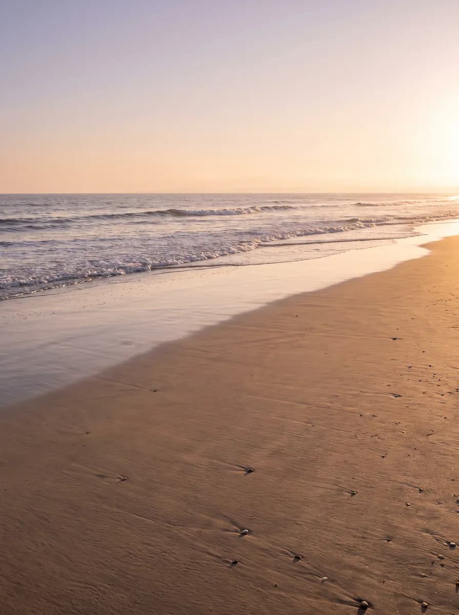 Quiet sandy beach at golden hour